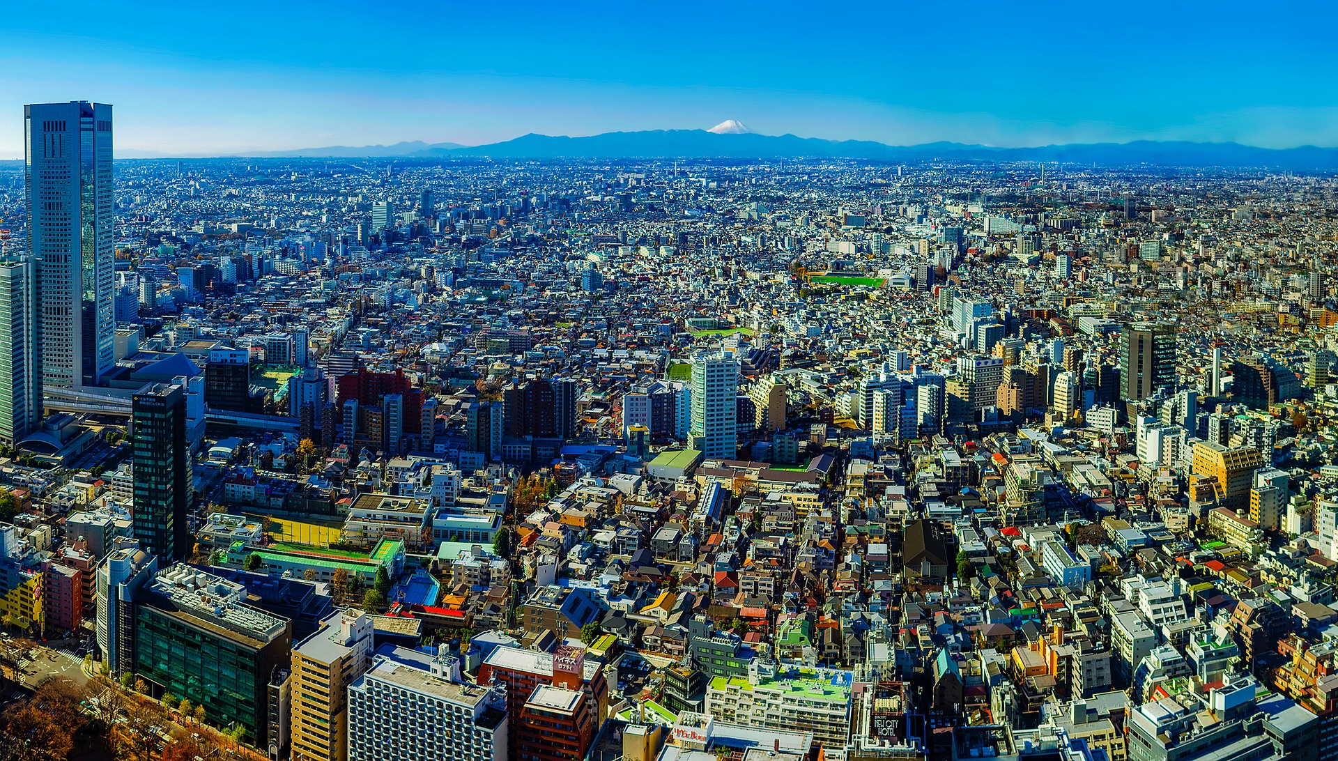 基準地価の上昇地点と下落地点の特徴から見る今後の地価の動向と不動産投資を始める上でのポイント